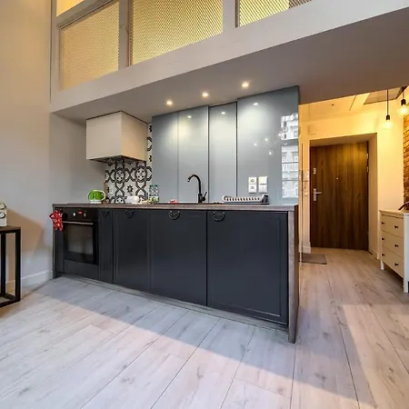 Loft With Mezzanine By Bookinghost Διαμέρισμα Βρότσλαβ